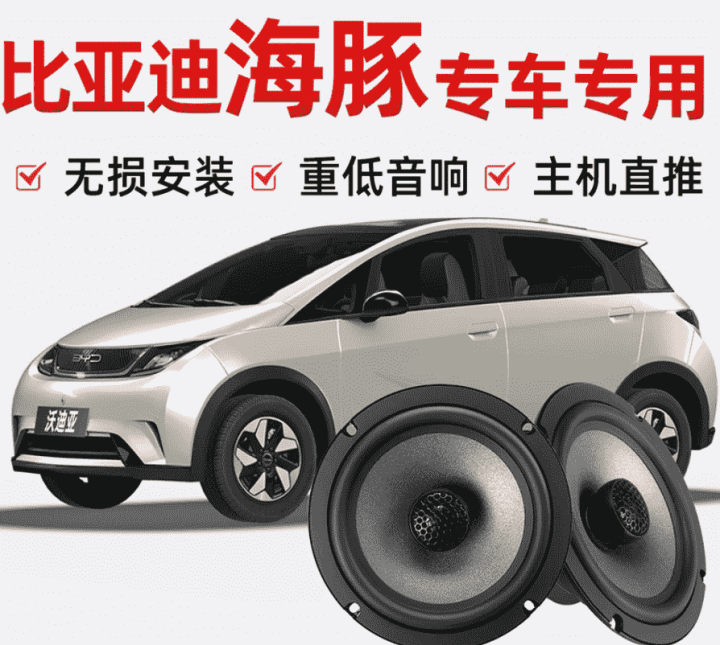 Loa cánh BYD Dolphin